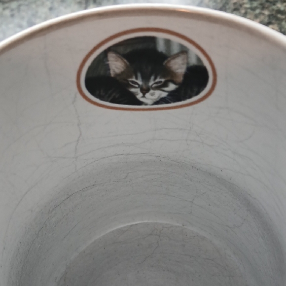 Brown and White Cat Coffee Mug for Kitchen - Picture 8 of 9